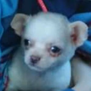 Meet your Posher, Jeffrey